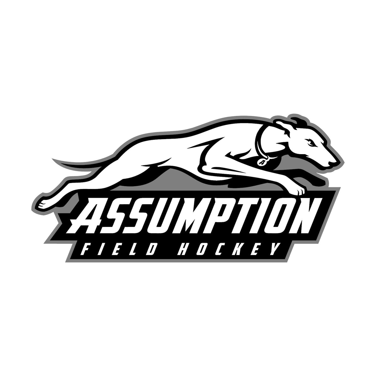 Assumption Field Hockey